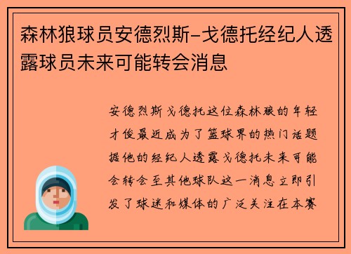 森林狼球员安德烈斯-戈德托经纪人透露球员未来可能转会消息